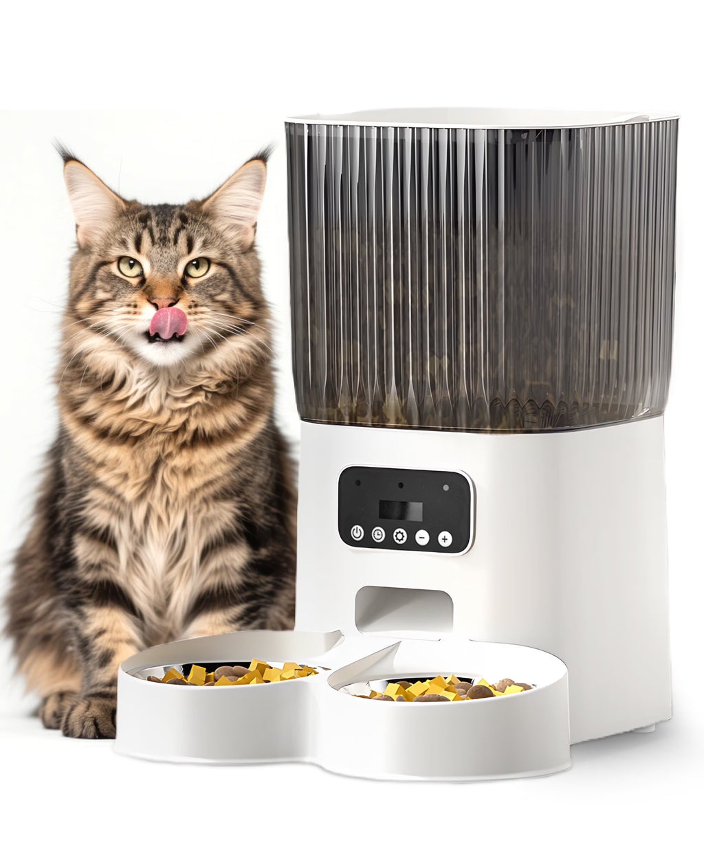Automatic Cat Feeders for 2 Cats, Timed Auto Feeder Cat Food Dispenser, White, 5L with Double Bowls