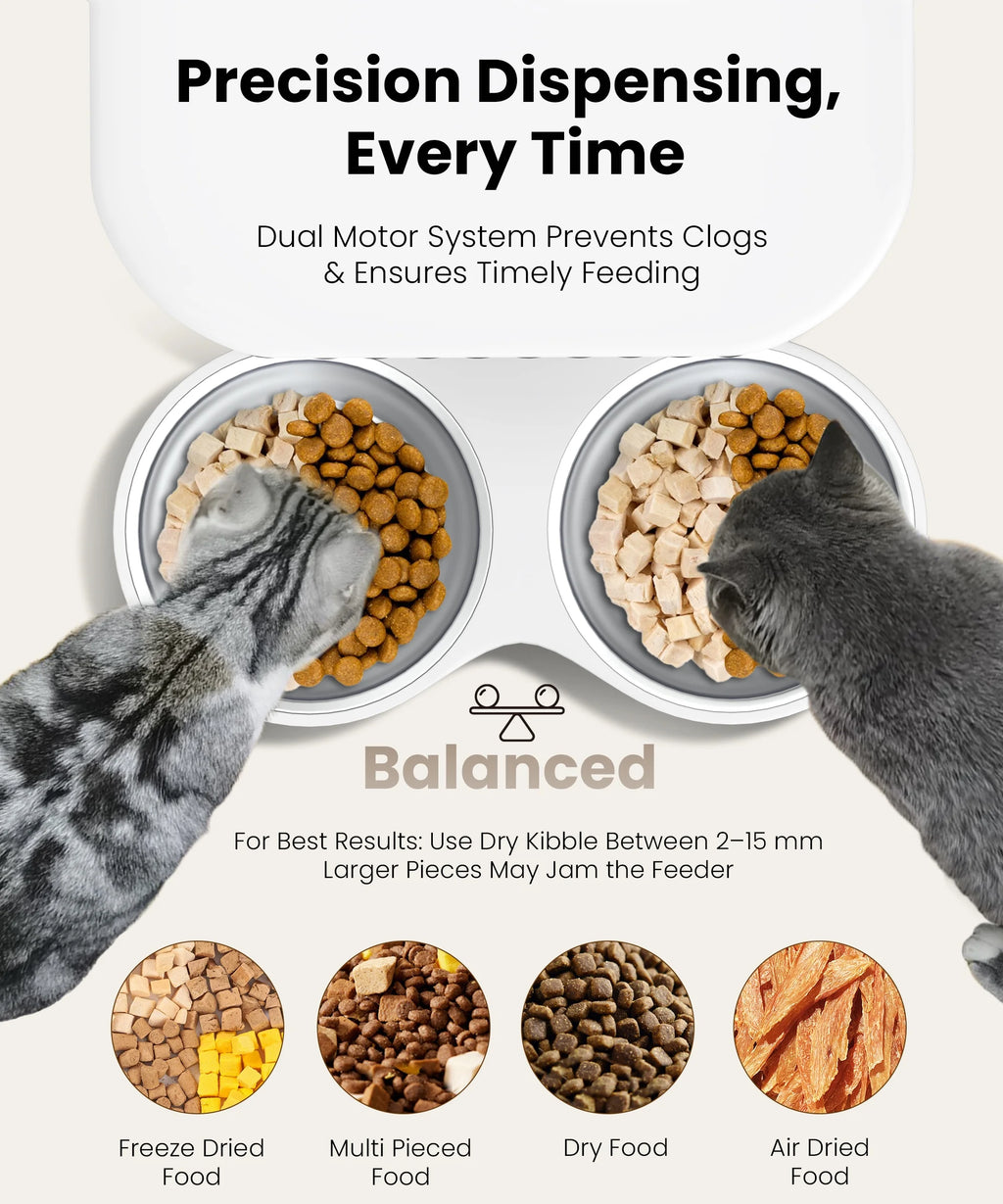 Automatic Cat Feeders for 2 Cats, Timed Auto Feeder Cat Food Dispenser, White, 5L with Double Bowls